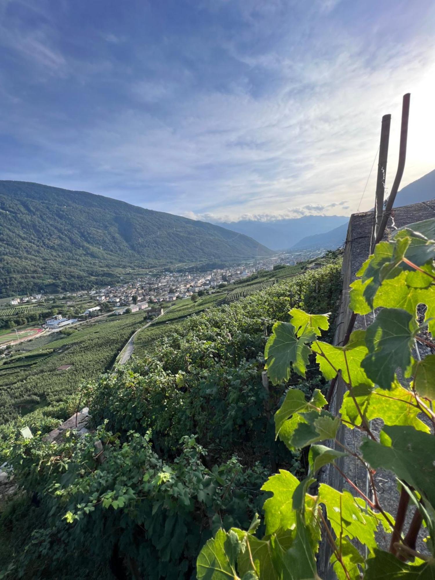 Sanmartino Suite Tirano Exterior foto